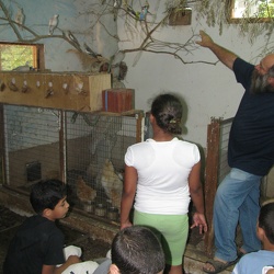 children-at-the-zoo-lab