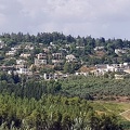 view of village from latrun 05