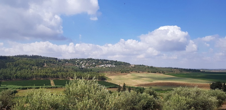 view of village from latrun 07